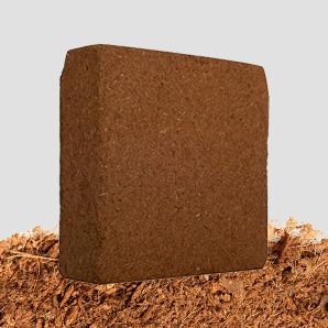 Coco Products Exporter in India